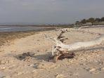 Pantai-wisata-Mananga-Aba-Sumba-Barat-Daya-rusak-parah.jpg