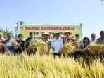 Perwakilan-BI-NTT-Reyza-Lisembina-Budiarjo-pada-Panen-Raya-Di-Desa-Mata-Air-Sabtu-2092025.jpg