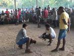 Sabung-Ayam-di-timor-leste_01.jpg