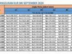 Simulasi-Angsuran-KUR-BRI-2024-Akhir-September-Pinjam-Rp-200-Juta-Tenor-36-Bulan-Cicilan-Sebulan.jpg