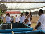 Program Budidaya Lele Dorong Kemandirian Warga Binaan di Lapas Atambua Belu