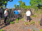 TINJAU-Wakil-Bupati-Apremoi-Dethan-dan-pihak-Dinas-Pertanian-NTT-dan-Rote-Ndao.jpg
