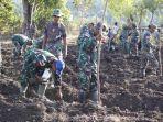 TNI-tanam-jagung-di-Kakukul-Mesak.jpg
