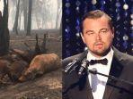 aktor-hollywood-leonardo-dicaprio.jpg