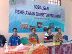 bank-ntt-sosialisasikan-pembiayaan-ekosistem-pertanian-untuk-petani-jagung-di-compang-ndejing.jpg