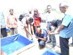 bbpp-kupang-kembangkan-bibit-ikan-lele.jpg