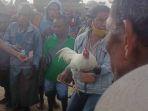 biarkan-warga-berkerumun-tokoh-masyarakat-minta-bupati-belu-tegur-kades-fulur.jpg