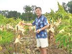 bobi-han-berpose-dengan-latar-belakang-beragam-t.jpg