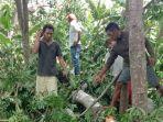 breaking-news-pohon-kapuk-patah-nyawa-mateus-warga-manggarai-tak-tertolong.jpg