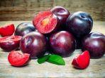 buah-plum-untuk-janin-hingga-mencegah-kanker.jpg