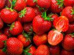 buah-stroberi.jpg