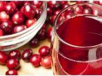 cranberry.jpg