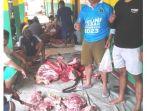 dag1ng-kurban-kampung-melset.jpg