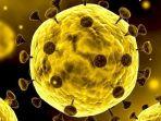 dari-ketiganya-manakah-yang-paling-berbahaya-virus-corona-sars-dan-mers-simak-infonya.jpg
