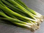 daun-bawang-12.jpg