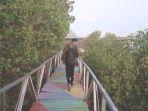 ekowisata-mangrove-di-kelurahan-oesapa-barat-kecamatan-kelapa-lima.jpg