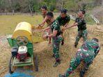 empat-prajurit-tni-di-perbatasan-belu-bantu-warga-merontok-padi.jpg
