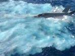 f-35c-jatuh-d-laut.jpg