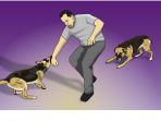 gigitan-anjing.jpg