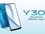 harga-dan-spesifikasi-hp-vivo-y30i.jpg