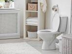 ilustrasi-toiletshutterstock.jpg