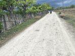 jalan-menuju-perkampungan-laipori-sumba-timur-masih-beralaskan-tanah-putih.jpg