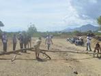 jalan-nasional-ditutup-warga-di-atambua-belu_20160606_094228.jpg