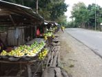 jambu-di-insana_20170605_180346.jpg