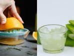 lidah-buaya-dan-jeruk-turunkan-berat-badan.jpg