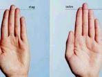 lihat-jari-tangan-kamu-apakah-jari-manis-lebih-panjang-dari-jari-telunjuk.jpg