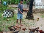 makan-ayam-ok.jpg