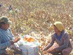 maria-goreti-fono-bersama-ibu-ibu-kelompok-tani-sedan.jpg