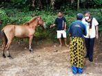 marianus-waja-menyerahkan-ternak-kuda-kepada-seorang-warga.jpg