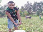 milenial-ntt-tingkatkan-pendapatan-di-wilayah-perbatasan-lewat-budidaya-pertanian.jpg