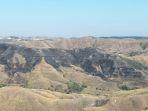 padang-savana-di-hamparan-bukit-hiliwuku-terlihat-bekas-terbakar.jpg