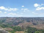 Wisata NTT,  Menikmati Pesona Sumba dari Puncak Bukit Hiliwuku, Padang Savana yang Menenangkan