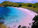pantai-pink-di-kabupaten-manggarai-barat-ntt.jpg