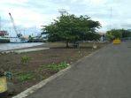 pantai-wulenluo-jadi-pusat-penyelenggaraan-lomba-mtq-tingkat-kabupaten-lembata-dan-provinsi-ntt.jpg