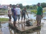 pelaksana-harian-plh-dinas-lingkungan-hidup-kabupaten-lembata-vinsen-jema-berkacamata_20170303_093821.jpg
