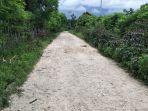 pemkab-sumba-timur-anggarkan-rp-15-miliar-bangun-aspal-menuju-obyek-wisata-pantai-kalala.jpg