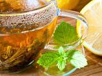 penyebab-makanan-dan-minuman-yang-mengandung-mint-punya-sensasi-rasa-dingin.jpg