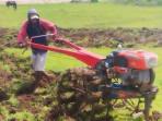 petani-bajak-lahan.jpg
