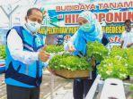 pln-dan-p4s-buana-lestari-kembangkan-hidroponik-dengan-manfaatkan-sinar-lampu-uv.jpg