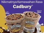 promo-mcdonalds-kamis-6-mei-2021-promo-mcdonalds-cadbury-mcflurry-harga-spesial-mulai-rp-15454.jpg
