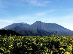 puncak-gunung-gede-dan-gunung-pangrango_20170722_084527.jpg