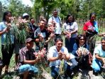 robert-marut-panen-bawang-di-sumba-timur_20171012_130828.jpg