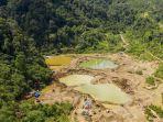 tambang-emas-ilegal_094.jpg