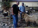 tribun-wiki-jelang-hari-raya-idul-adha-2019-ini-lokasi-dan-harga-kambing-kurban-di-kupang.jpg