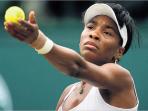 venus-williams1.jpg