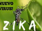 zika_20160206_184905.jpg